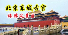 狂草女警中国北京-东城古宫旅游风景区